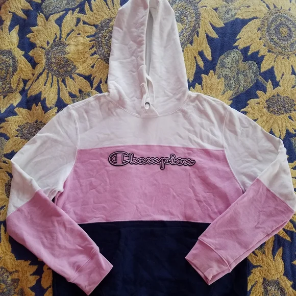 Champion Tops Champion Powerblend Color Block Hoodie Poshmark